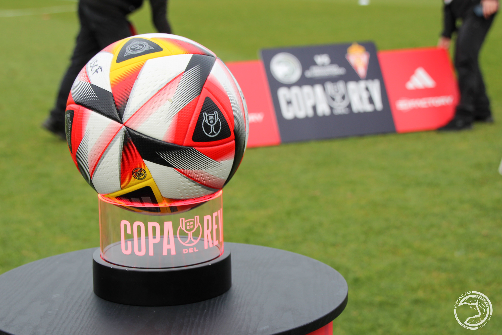 53389126882_c93f4cb187_k