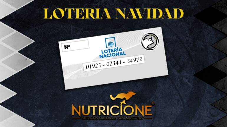 Hazte con tus participaciones de lotería de Navidad