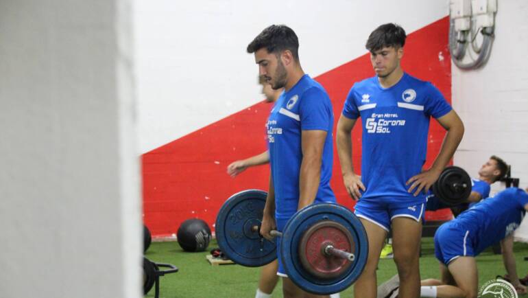 ENTRENAMIENTOS | Plan semanal (16-22 diciembre)