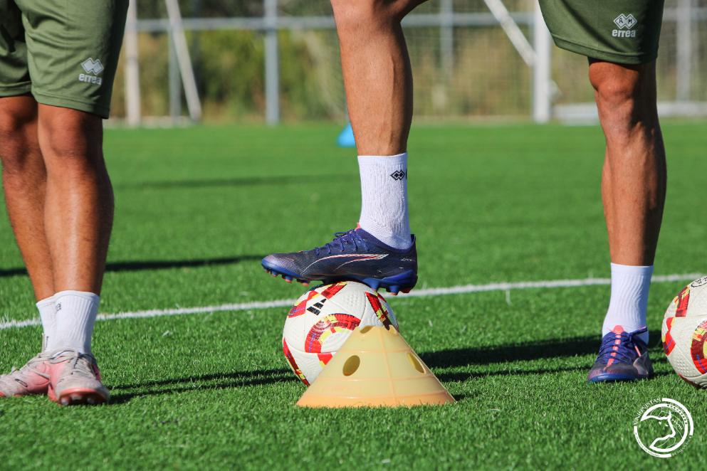 m (30) (1) m (30) (1)